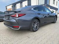 Gebraucht Lexus ES300 178 PS (130 kW) 2023 Sonic grey Limousine