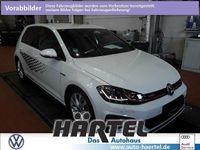 Gebraucht VW Golf VII GTI 245 PS (180 kW) 2019 Oryxweiã perleffekt (weiss) Kleinwagen