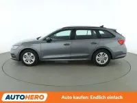 Gebraucht Skoda Octavia Active 110 PS (80 kW) 2023 Graphite grey Kombi