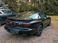 Gebraucht Pontiac Firebird 148 PS (108 kW) 1996 Schwarz Coupé