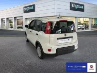 Neu Fiat Panda 69 PS (50 kW) 2025 Weiß Kleinwagen