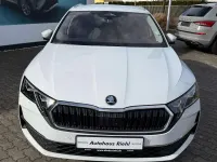 Neu Skoda Octavia Selection 150 PS (110 kW) 2026 Moonweiß perleffekt Kombi