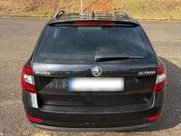 Gebraucht Skoda Octavia Drive 150 PS (110 kW) 2017 Schwarz Kombi
