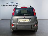 Gebraucht Fiat Panda 69 PS (50 kW) 2023 Colosseo grau) (grau Kleinwagen