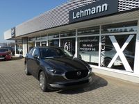 Gebraucht Mazda CX-30 Takumi-Line 186 PS (136 kW) 2024 SUV