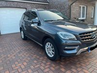 Gebraucht Mercedes ML350 258 PS (189 kW) 2014 Grau SUV