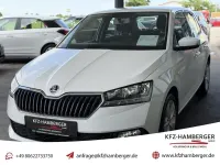 Gebraucht Skoda Fabia Cool Plus 60 PS (44 kW) 2020 Weiß Kleinwagen