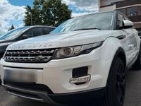 Gebraucht Land Rover Range Rover evoque 150 PS (110 kW) 2015 Weiß SUV
