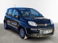 Gebraucht Fiat Panda 69 PS (50 kW) 2024 Schwarz Limousine
