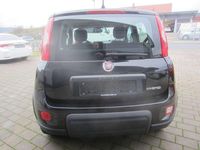 Gebraucht Fiat Panda Comfort 69 PS (50 kW) 2024 Schwarz Limousine