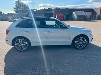 Gebraucht Audi SQ5 Competition 340 PS (250 kW) 2016 Weiß SUV