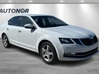 Gebraucht Skoda Octavia 116 PS (85 kW) 2019 Weiß Limousine