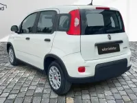 Occasion Fiat Panda 71 ch (52 kW) 2024 Blanc Citadine