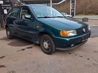 Usata VW Polo 60 CV (44 kW) 1997 Verde Utilitaria