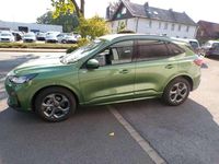 Neu Ford Kuga ST-Line 186 PS (136 kW) 2025 Bursting green SUV