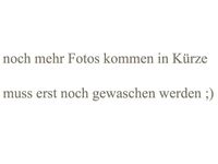 Gebraucht Renault Captur Zen 101 PS (74 kW) 2022 Schwarz SUV