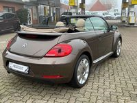 Gebraucht VW Beetle Cabriolet Design 105 PS (77 kW) 2013 Braun Cabrio