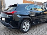 Gebraucht Lexus UX 250h Executive Line 152 PS (111 kW) 2022 Grau SUV
