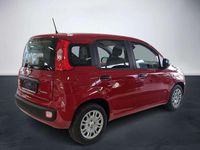 Neu Fiat Panda 69 PS (50 kW) 2025 Passione rot Kleinwagen