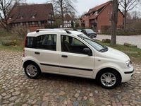 Gebraucht Fiat Panda 69 PS (50 kW) 2012 Weiß Kleinwagen