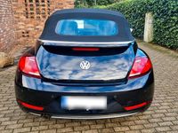Gebraucht VW Beetle Edition 105 PS (77 kW) 2017 Blau Kleinwagen