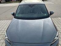 Gebraucht Seat Tarraco XCELLENCE 150 PS (110 kW) 2019 Grau SUV