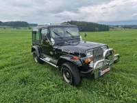 Gebraucht Jeep Wrangler 180 PS (132 kW) 1992 Schwarz SUV