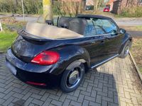 gebraucht VW Beetle 1.4 TSI BMT CLUB Cabriolet CLUB