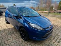 Gebraucht Ford Fiesta Titanium 82 PS (60 kW) 2009 Blau Kleinwagen