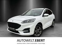 Gebraucht Ford Kuga ST-Line X 224 PS (164 kW) 2022 Frostweiß SUV