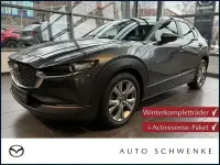 Gebraucht Mazda CX-30 Selection 179 PS (131 kW) 2020 Grau SUV