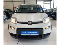 Gebraucht Fiat Panda 69 PS (50 kW) 2023 Colore esterno (weiss) Kleinwagen