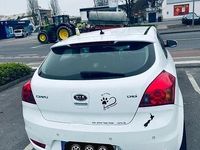 Second-hand Kia Ceed 115 CP (84 kW) 2011 Alb Hatchback