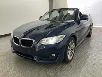 Gebraucht BMW 220 Advantage 190 PS (139 kW) 2016 Tiefseeblau met. Cabrio
