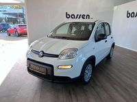 Gebraucht Fiat Panda 69 PS (50 kW) 2024 Gelato weiss Kleinwagen