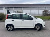 Gebraucht Fiat Panda Lounge 86 PS (63 kW) 2012 Weiß Kleinwagen
