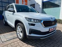 Gebraucht Skoda Kodiaq Ambition 150 PS (110 kW) 2021 Weiß SUV