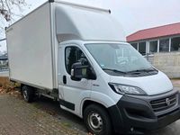 Gebraucht Fiat Ducato 180 PS (132 kW) 2021 Weiß Van