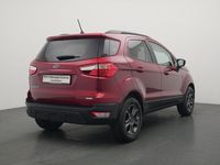Gebraucht Ford Ecosport Cool & Connect 101 PS (74 kW) 2019 Ruby rot SUV