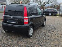 Gebraucht Fiat Panda Dynamic 60 PS (44 kW) 2009 Schwarz Kleinwagen