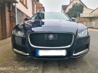 gebraucht Jaguar XF D 50.000km