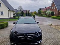 gebraucht Mercedes E300 BlueTEC T - V6 AMG,AHK,Checkheft