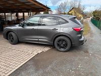 Gebraucht Ford Kuga ST 150 PS (110 kW) 2022 Grün SUV