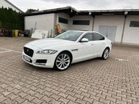 Gebraucht Jaguar XF 184 PS (135 kW) 2018 Weiß Limousine