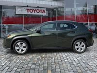 Gebraucht Lexus UX 250h 184 PS (135 kW) 2023 Terrane khaki SUV