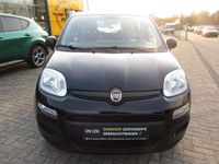 Gebraucht Fiat Panda Easy 69 PS (50 kW) 2019 Schwarz Kleinwagen