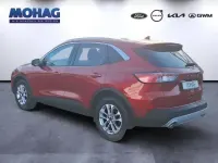 Occasion Ford Kuga Titanium 150 ch (110 kW) 2021 Rouge SUV