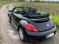 Gebraucht VW Beetle 105 PS (77 kW) 2015 Schwarz Kleinwagen