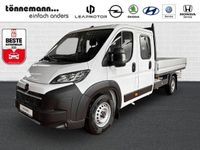 Neu Opel Movano 140 PS (102 kW) 2026 Weiß Van