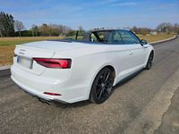 Gebraucht Audi S5 Cabriolet 354 PS (260 kW) 2018 Weiß Cabrio